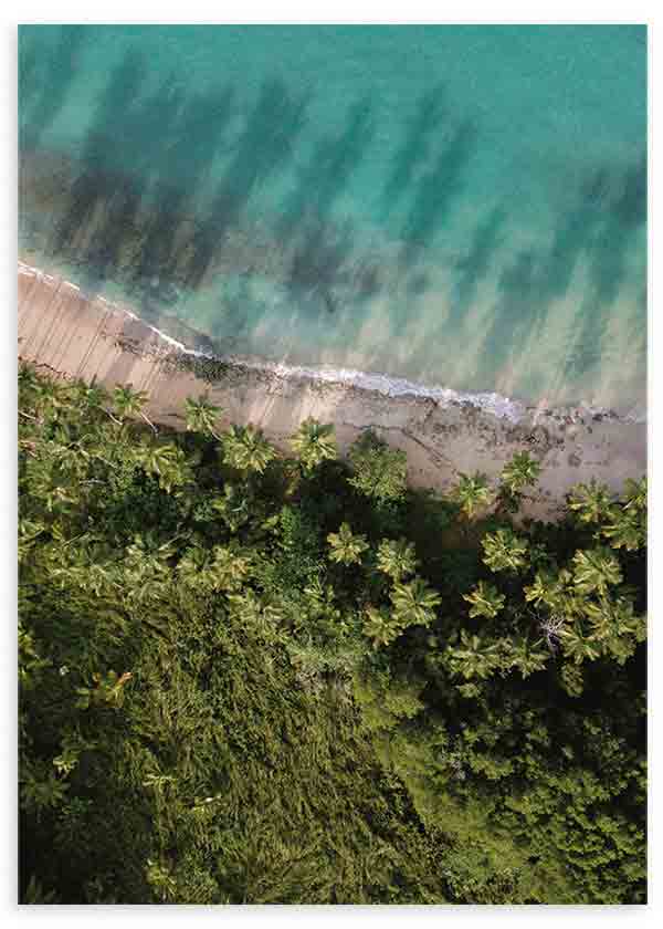 Cuadro de vista aérea de playa tropical con mar turquesa, arena clara, palmeras verdes y composición natural de estilo fotográfico. Disponible en kudeko.com