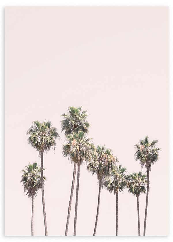 Cuadro de palmeras altas sobre fondo rosa empolvado, con tonos verdes suaves, beige claro y estilo fotográfico de aire tropical sereno. Disponible en kudeko.com