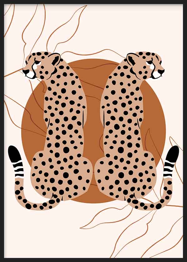 Cheetah