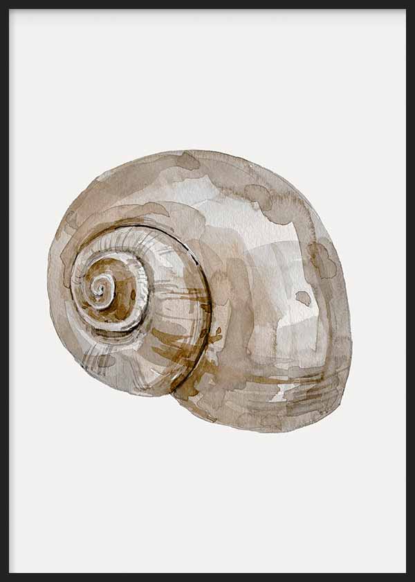 Cuadro de concha marina en espiral con tonos beige, arena, topo y marrón suave sobre fondo claro, de estilo ilustración. Disponible en kudeko.com