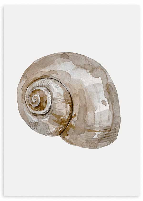 Cuadro de concha marina en espiral con tonos beige, arena, topo y marrón suave sobre fondo claro, de estilo ilustración. Disponible en kudeko.com