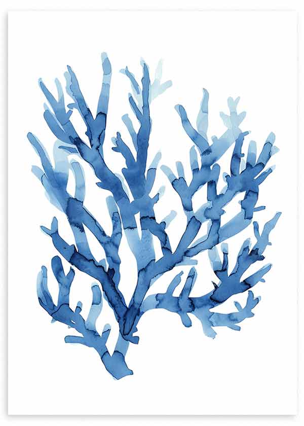 Gerahmtes Wandbild mit verzweigter Meereskoralle in Himmelblau und tiefem Blau auf weißem Hintergrund, klare Komposition im Natur- und Landschaftsstil. Erhältlich auf kudeko.com