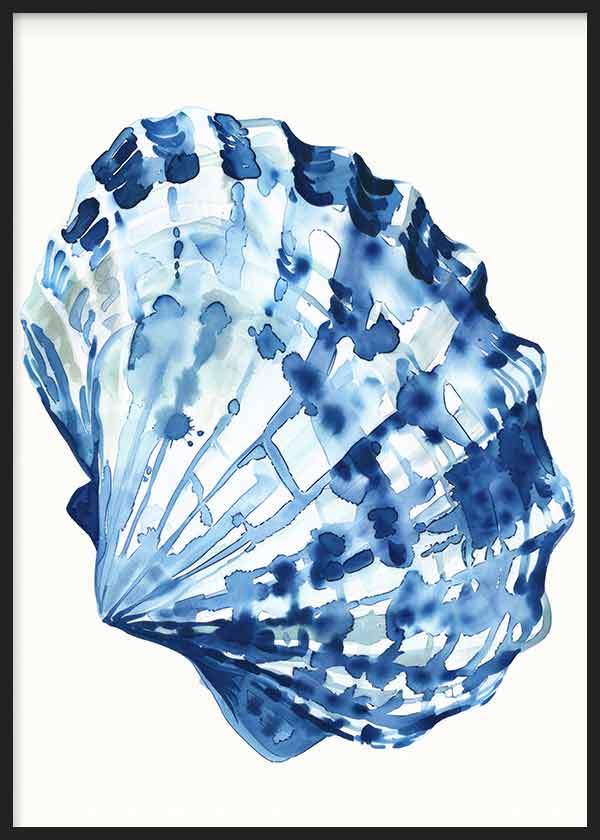 Coastal Blue Shell