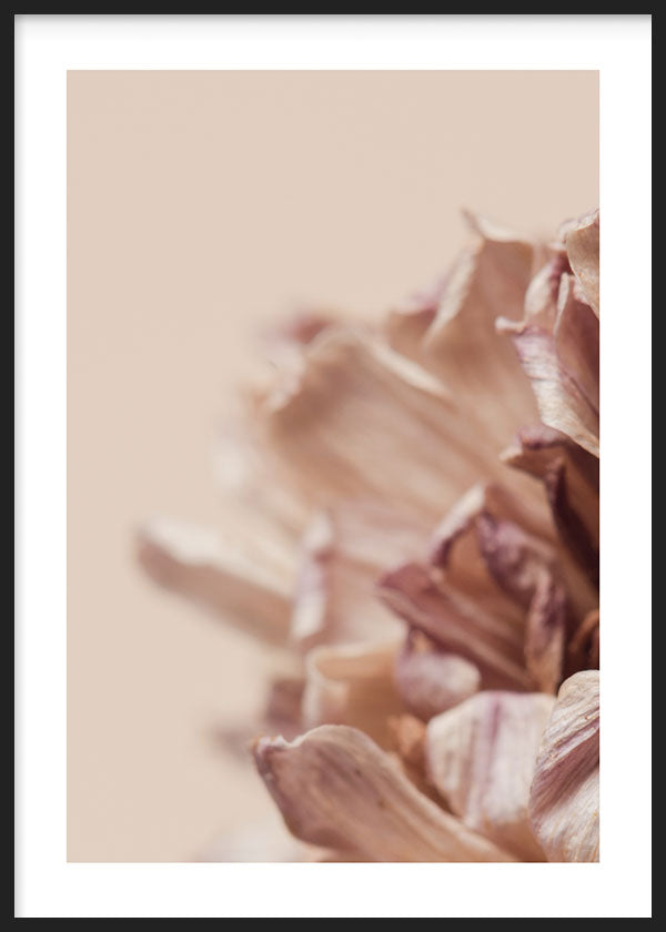 Tableau encadré avec détail de pétales de chrysanthème en beige, rose poudré et brun doux, flou délicat et style floral sur fond neutre. Disponible sur kudeko.com