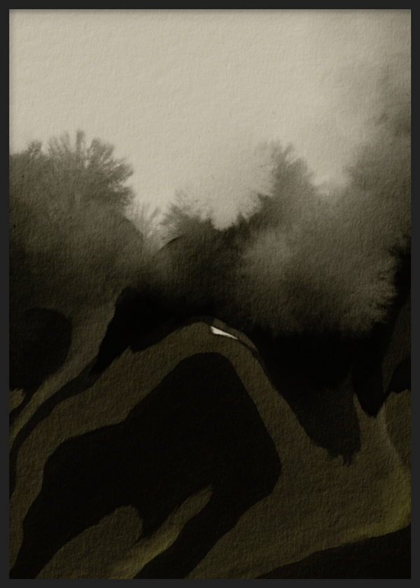 Cuadro decorativo con marco de estilo blanco_y_negro y orgánico, paisaje abstracto en sombras, modelo Paisaje de Sombra