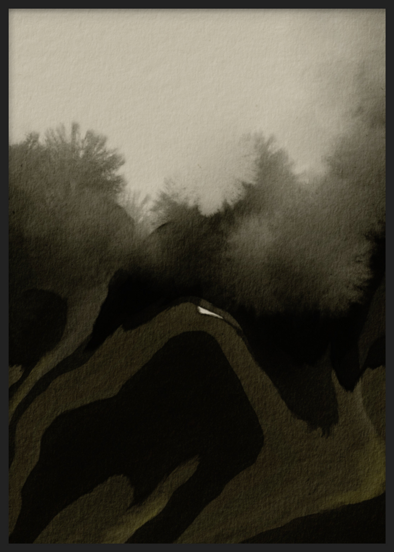 Paisaje de Sombra