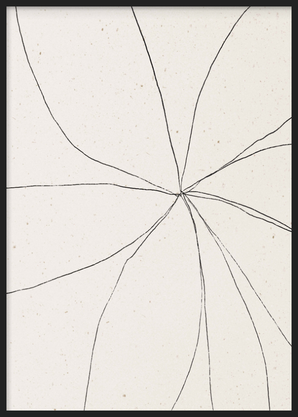Cuadro decorativo con marco de estilo minimalista y blanco_y_negro, líneas orgánicas abstractas en blanco y negro, modelo Cracked Symmetry