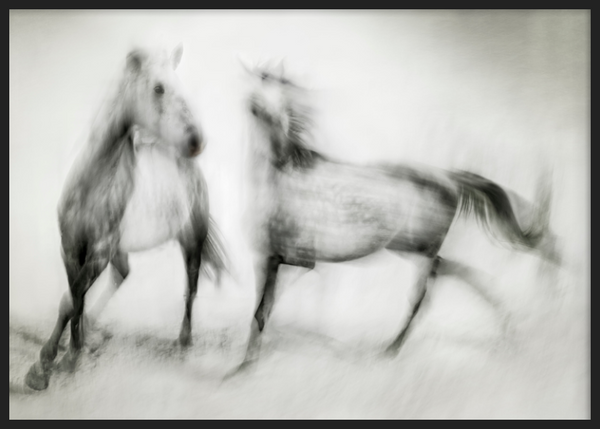 Tableau décoratif encadré de style minimaliste en noir et blanc, avec chevaux éthérés en mouvement, modèle Wild Horses in Motion. Disponible sur kudeko.com