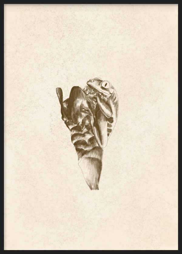 Dekoratives Wandbild mit Rahmen im minimalistischen und organischen Stil, Frosch umarmt ein Blatt in Sepia-Optik, Modell Abrazo Anfibio. Erhältlich auf kudeko.com
