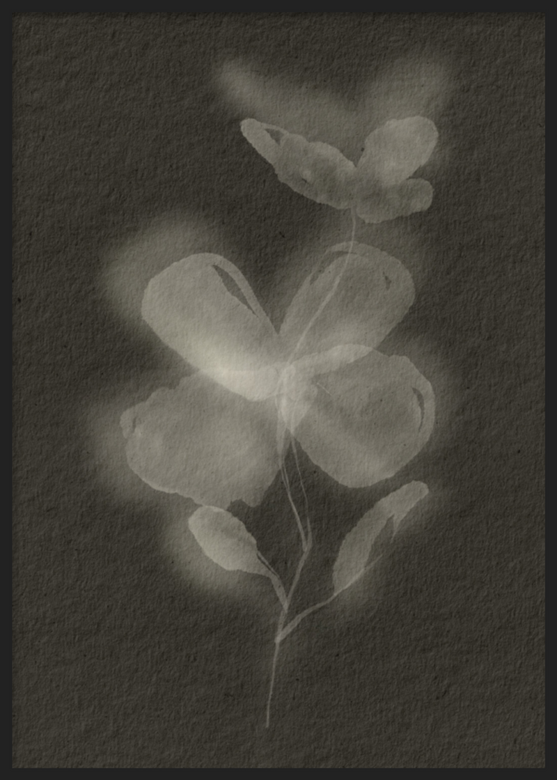 Black Biophilic Flower II