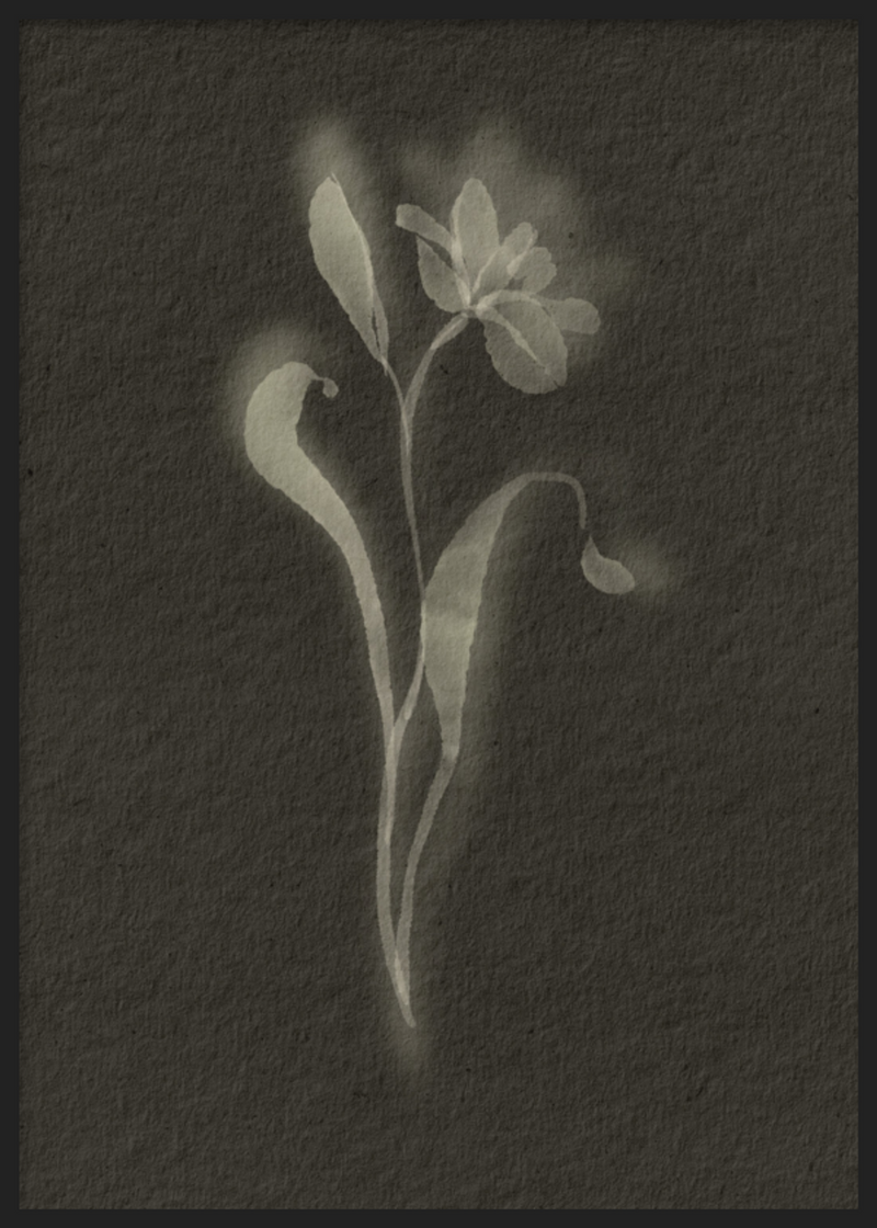 Black Biophilic Flower