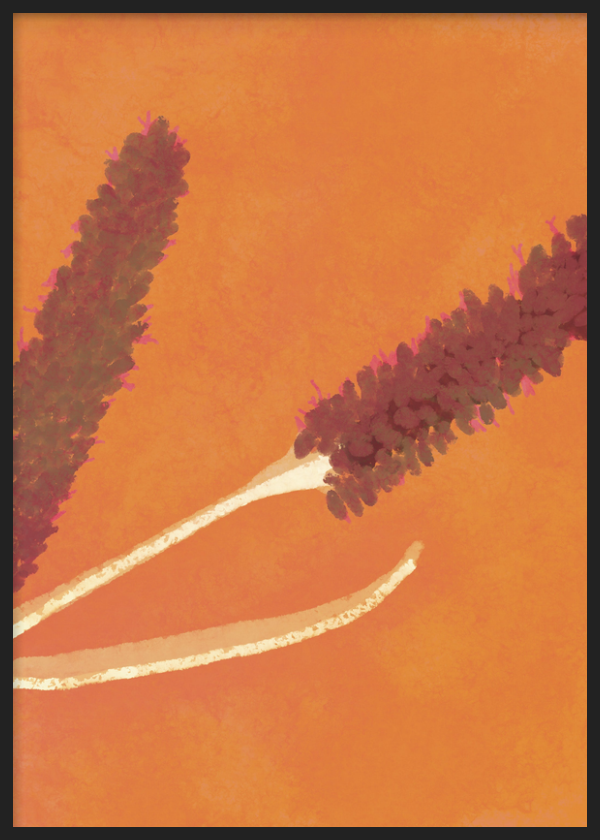 Wandbild mit Rahmen im minimalistischen und organischen Stil, florale Zweige auf warmem orangefarbenem Hintergrund, Modell Espigas al Sol. Erhältlich auf kudeko.com