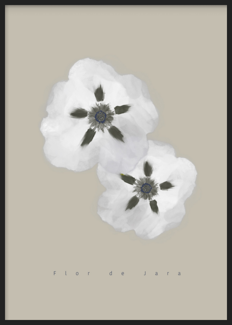Flores de jara