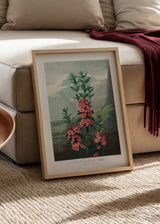 Wandbild mit botanischer Kalmien Illustration, rosafarbenen Blüten mit roten Details, grünem Laub und nebliger Landschaft in graugrünen Tönen, im Vintage-Stil. Erhältlich auf kudeko.com