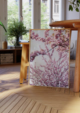 Cuadro decorativo de estilo fotografía y flores colocado en salón, fotografía de flores de cerezo en tonos rosados, modelo Colorful Spring 11