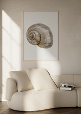 Cuadro decorativo de estilo minimalista y mar_y_playa colocado en salón, concha marina en acuarela neutra, modelo Coastal Art Brown III