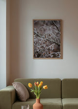 Fotografisches Wandbild mit trockenen Zweigen und Raureif in Braun- und Grautönen, natürliche dekorative Winterstimmung. Erhältlich auf kudeko.com