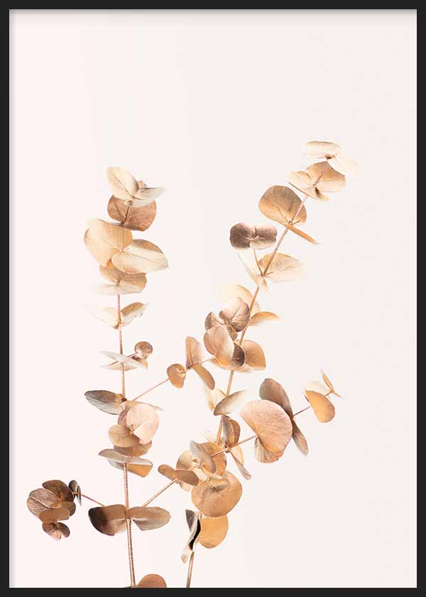 Cuadro con ramas de eucalipto de hojas redondeadas en tonos dorados, beige y cobre suave sobre fondo claro, de estilo floral. Disponible en kudeko.com