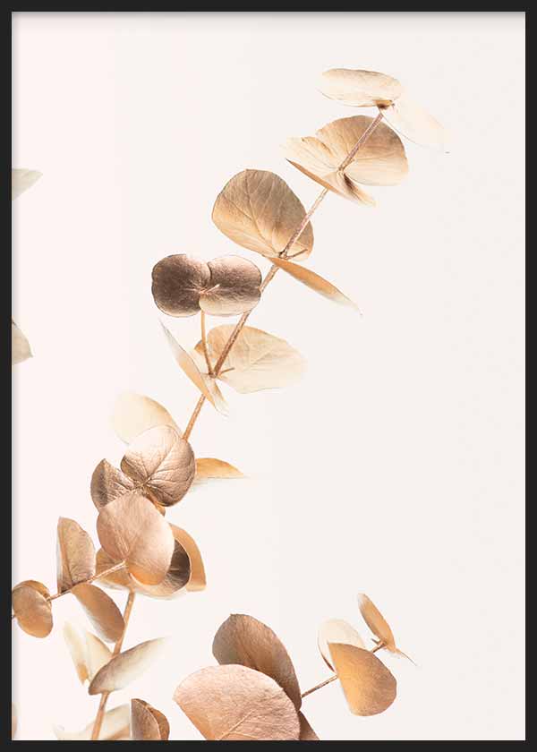 Cuadro de ramas de eucalipto con hojas redondeadas en tonos dorados, beige y cobre suave sobre fondo claro, de estilo floral. Disponible en kudeko.com