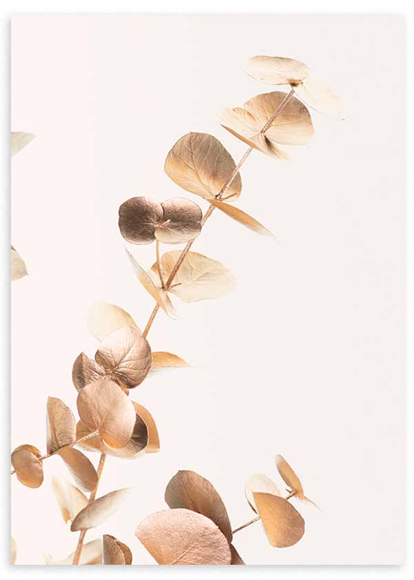 Cuadro de ramas de eucalipto con hojas redondeadas en tonos dorados, beige y cobre suave sobre fondo claro, de estilo floral. Disponible en kudeko.com
