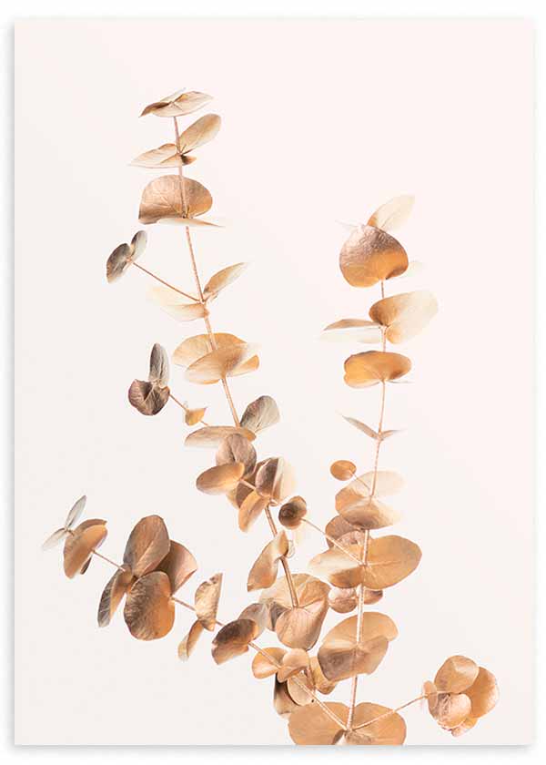 Tableau encadré avec branches d’eucalyptus dorées, beige et cuivre doux sur fond clair, dans un style botanique floral léger et équilibré. Disponible sur kudeko.com