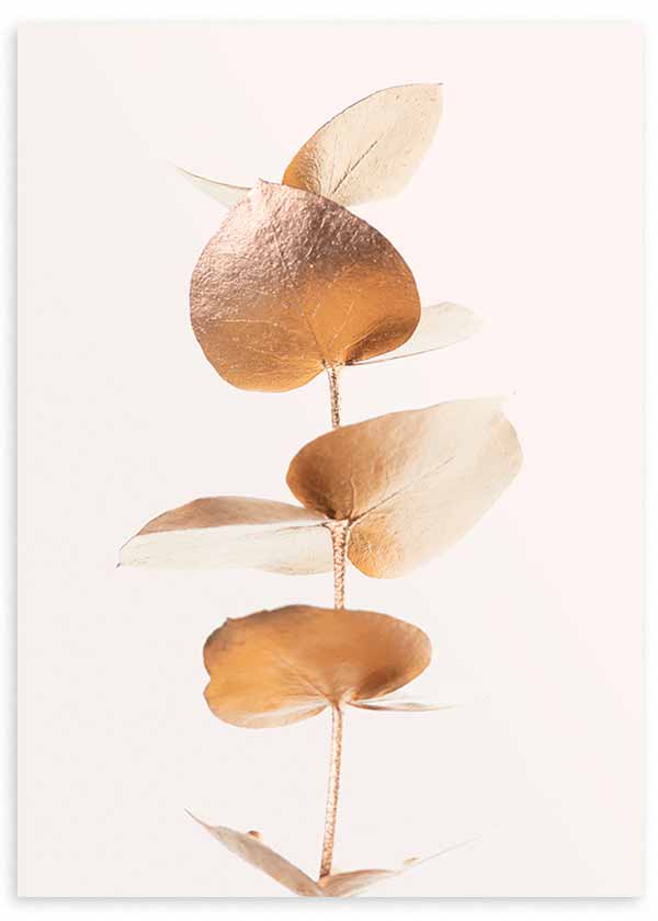 Wandbild mit stilisiertem Eukalyptuszweig, kupfergoldenen Blättern auf weißem Hintergrund, botanische florale Komposition im klaren zeitgenössischen Stil. Erhältlich auf kudeko.com
