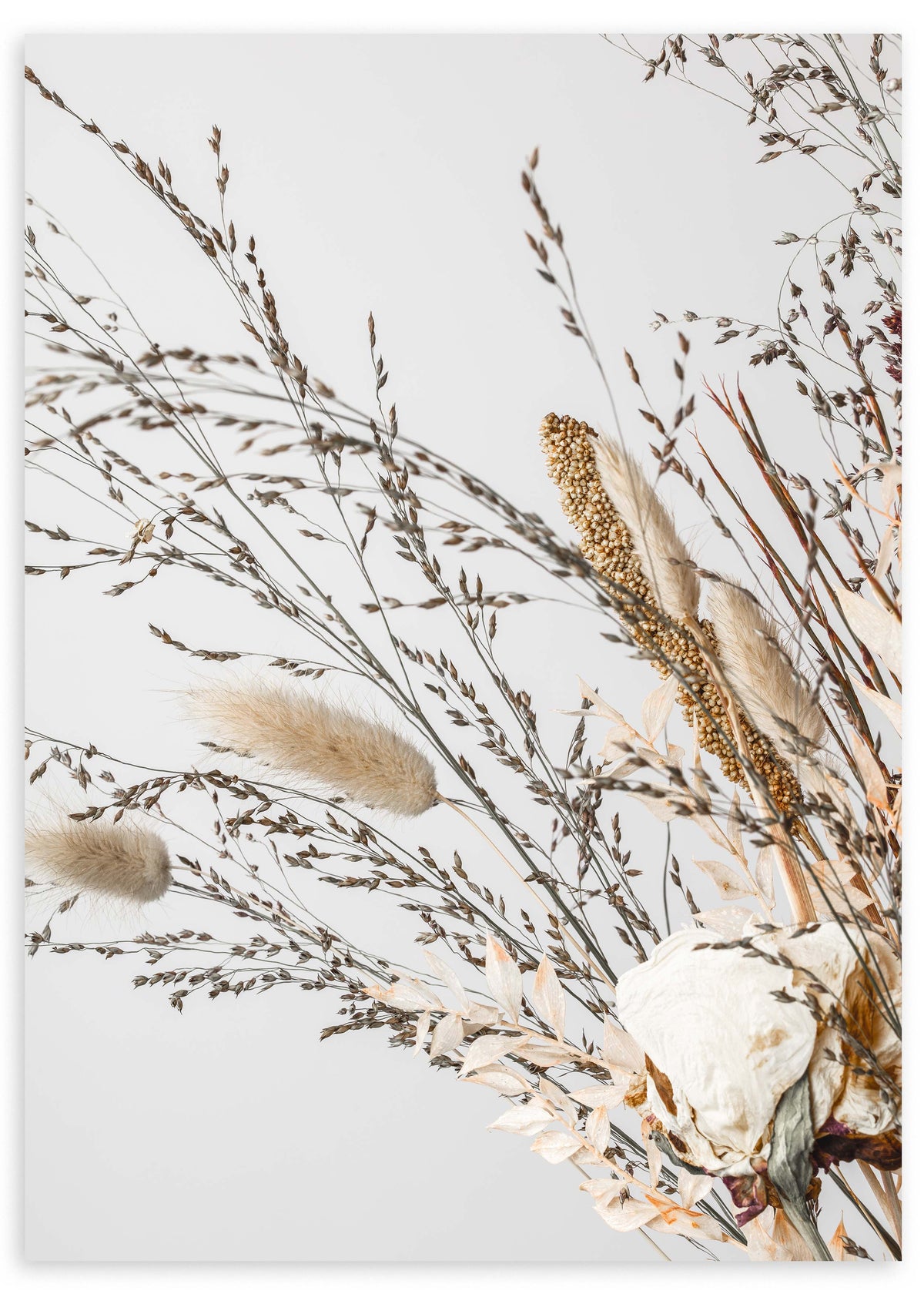 Gerahmtes Wandbild mit Trockenblumen und wilden Zweigen in Beige, Creme, hellem Braun und sanftem Grau, auf weißem Hintergrund, im natürlichen floralen Stil. Erhältlich auf kudeko.com