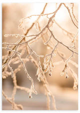 Cuadro de fotografía floral con árbol en invierno en tonos marrones y beige