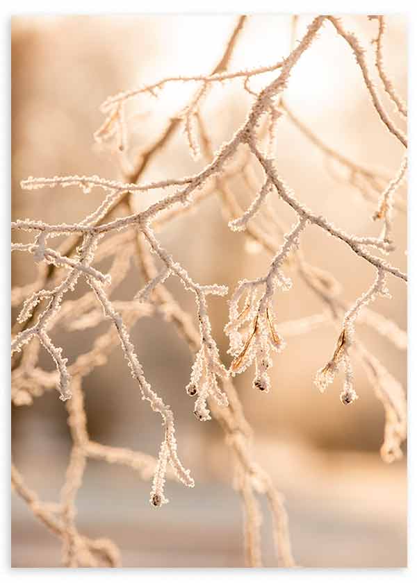 Cuadro de fotografía floral con árbol en invierno en tonos marrones y beige