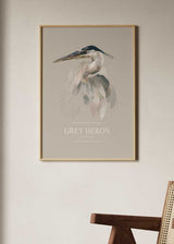 Ilustración, animales, Grey Heron, kudeko.com