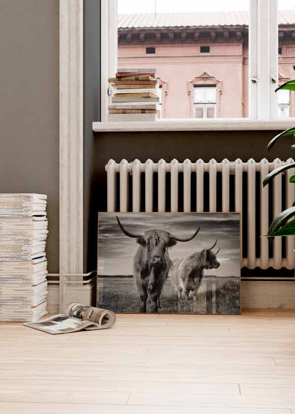 Horizontales Wandbild mit zwei Highland-Rindern mit langen Hörnern auf offener Wiese, in Schwarz-Weiß, mit bewölktem Himmel, natürlichem Gras und ruhigem fotografischem Landhausstil. Erhältlich auf kudeko.com