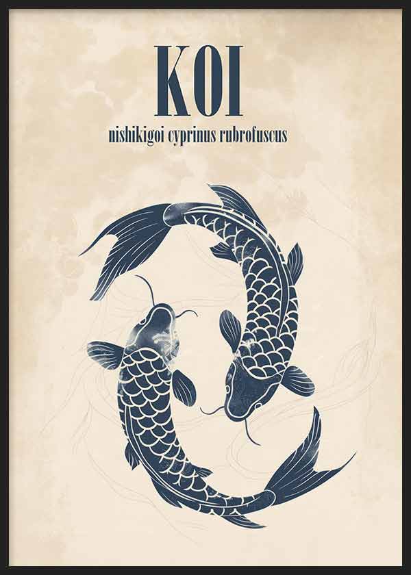 Koi