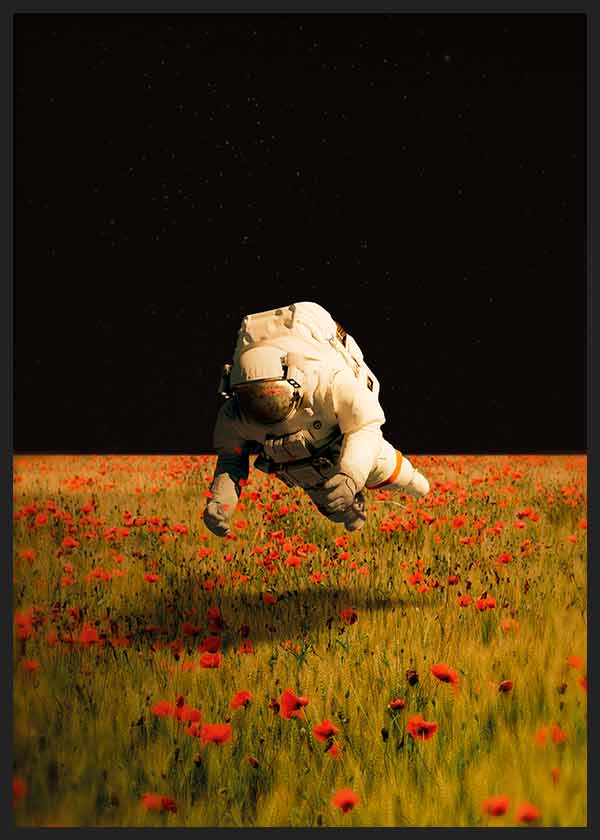Gerahmtes Wandbild mit schwebendem Astronauten über einem Feld roter Mohnblumen, goldenen Gräsern, tiefschwarzem Himmel und surrealem Illustrationsstil. Erhältlich auf kudeko.com