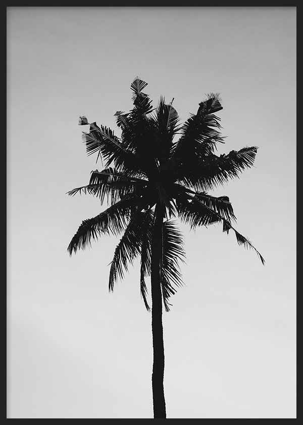 Tableau encadré avec palmier tropical en silhouette noire sur fond gris clair, composition épurée, contraste marqué et style photographique contemporain. Disponible sur kudeko.com