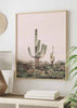 Cuadro fotográfico, cactus, Posters, Prints, & Visual Artwork, Pink Saguaro