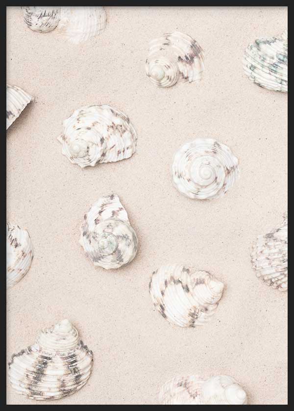 Cuadro de conchas marinas blancas y beige sobre arena clara, con tonos marfil, gris suave y estilo naturaleza y paisajes. Disponible en kudeko.com