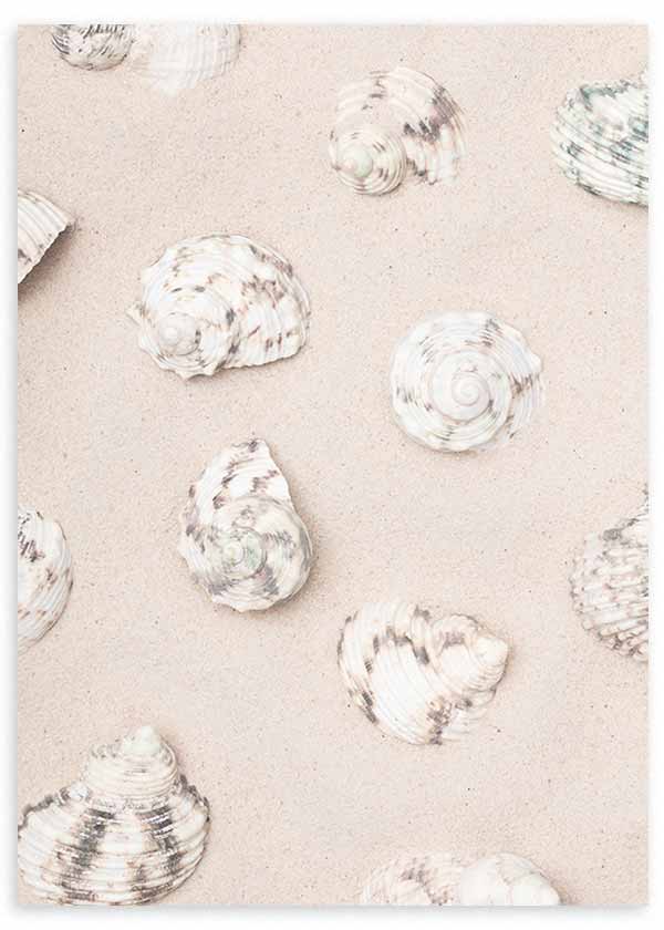 Tableau encadré avec coquillages blancs et beige sur sable clair, nuances ivoire, gris perle et style nature et paysages, pour une décoration murale bord de mer. Disponible sur kudeko.com