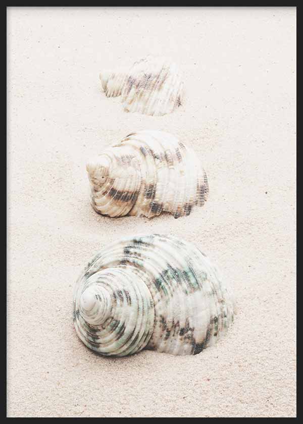 Cuadro de tres conchas marinas sobre arena clara en tonos beige, blanco roto, gris suave y matices verdosos, de estilo naturaleza y paisajes. Disponible en kudeko.com