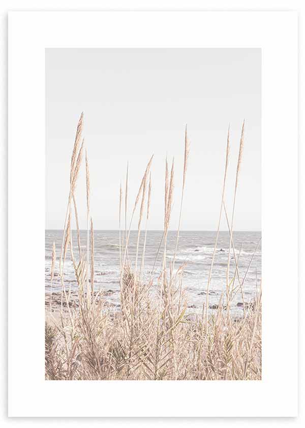 Cuadro de dunas con gramíneas altas junto al mar en tonos beige, arena, gris claro y blanco, de estilo naturaleza y paisajes. Disponible en kudeko.com