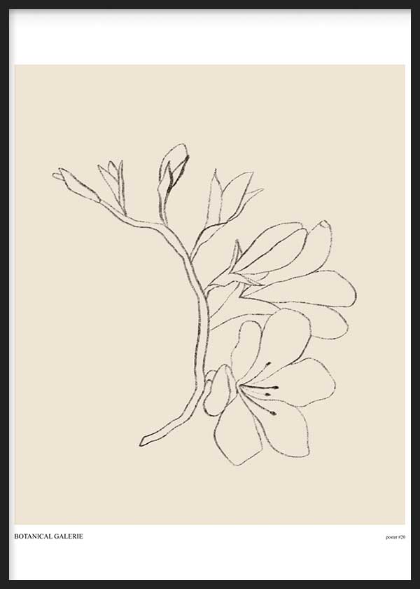 Gerahmtes Wandbild mit blühendem Zweig in feinen schwarzen Linien auf hellem Beigeton, ruhige botanische Komposition im minimalistischen und modernen Stil. Erhältlich auf kudeko.com