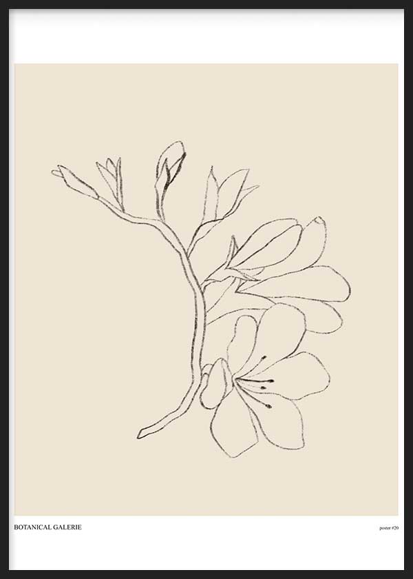 Cuadro de ilustración floral sobre fondo beige. Un cuadro de estilo nórdico que encaja muy bien en ambientes neutros y claros