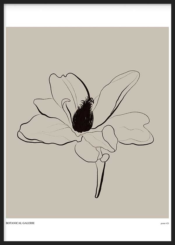Cuadro de flor botánica con pétalos abiertos, contorno negro fino, centro oscuro y fondo beige suave, de estilo floral. Disponible en kudeko.com