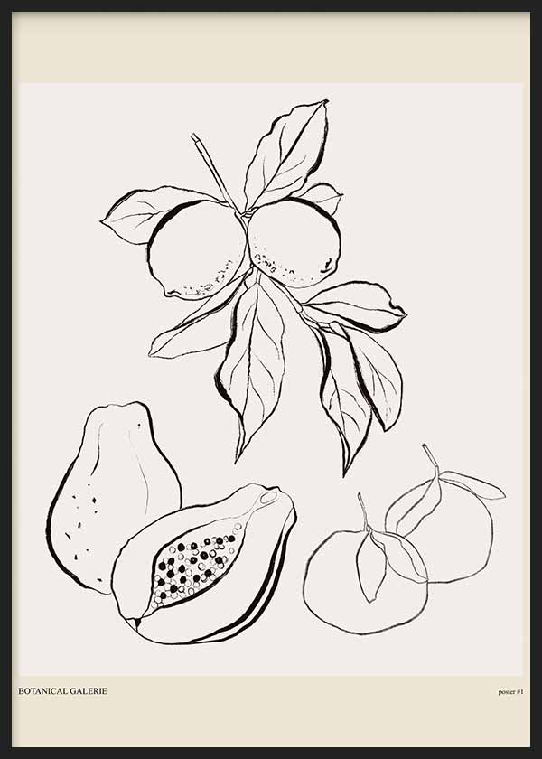 Tableau encadré avec fruits tropicaux et agrumes, citrons, papaye, poire et oranges, en noir sur fond beige clair, style illustration botanique minimaliste. Disponible sur kudeko.com