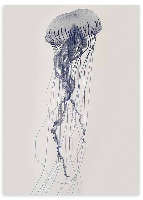 Quadro emoldurado com medusa azul acinzentada, tentáculos finos e longos, fundo claro e estilo vintage inspirado em ilustrações marinhas antigas. Disponível em kudeko.com