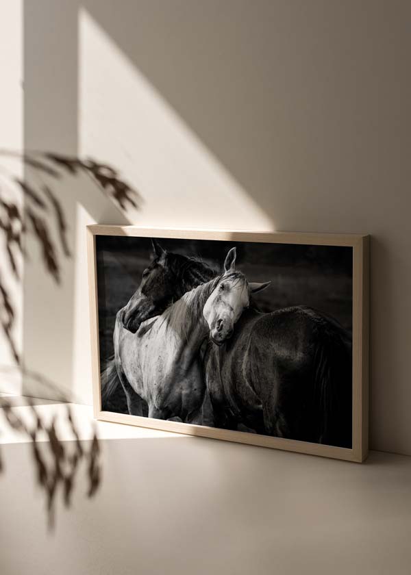 Cuadro horizontal de dos caballos abrazados en primer plano, uno blanco y otro oscuro, con fondo difuminado en tonos grises y estilo fotográfico en blanco y negro. Disponible en kudeko.com