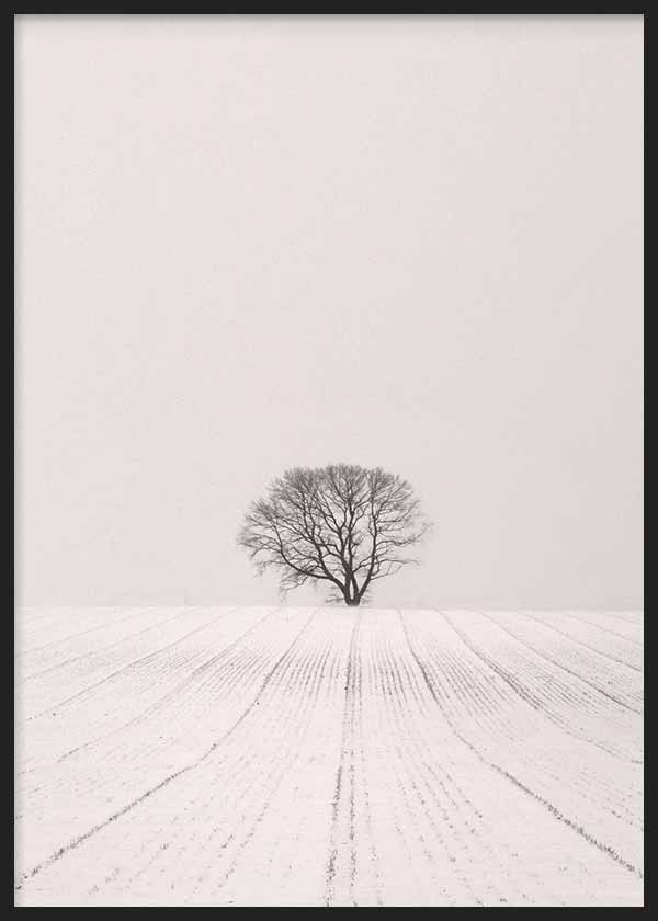 White Desert