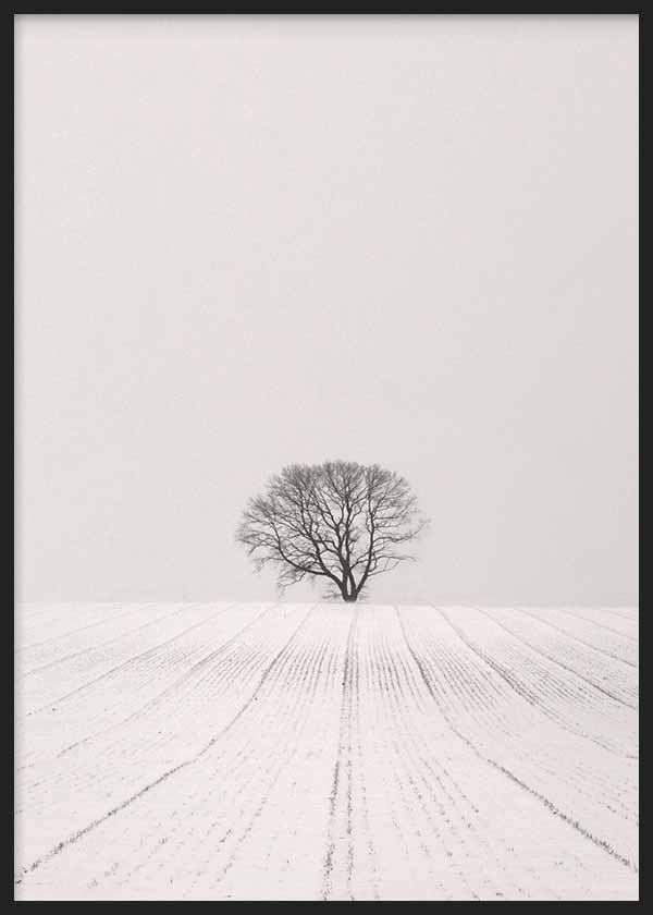 Cuadro fotográfico de árbol sobre campo cubierto de nieve