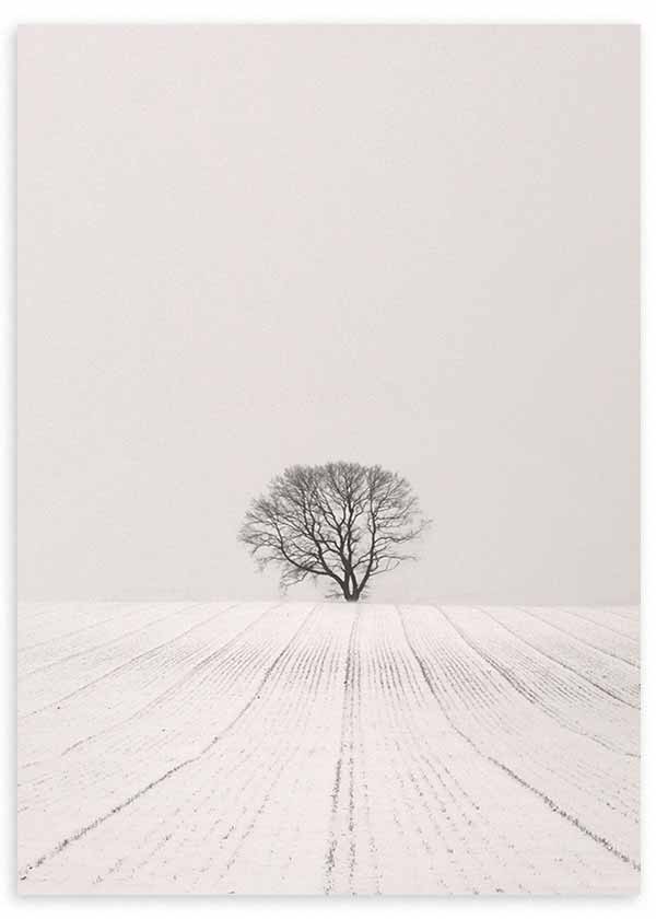 Cuadro de un árbol solitario en campo nevado blanco, con horizonte suave, tonos gris y negro, composición serena de estilo fotográfico. Disponible en kudeko.com