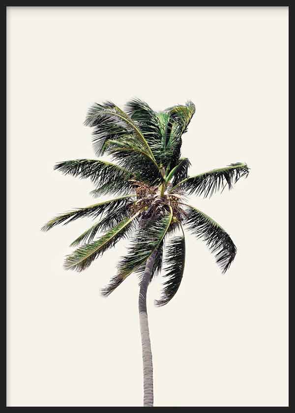 Cuadro de palmera tropical solitaria con hojas movidas por el viento, fondo beige claro, tonos verdes y marrones, estilo fotográfico. Disponible en kudeko.com