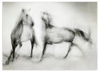 Lámina decorativa sin marco de estilo minimalista y blanco_y_negro, caballos etéreos en blanco y negro, modelo Wild Horses in Motion